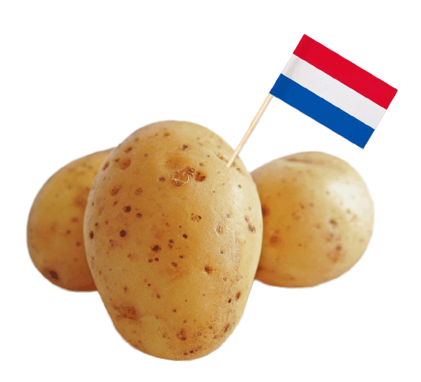 Dutch Potatoes